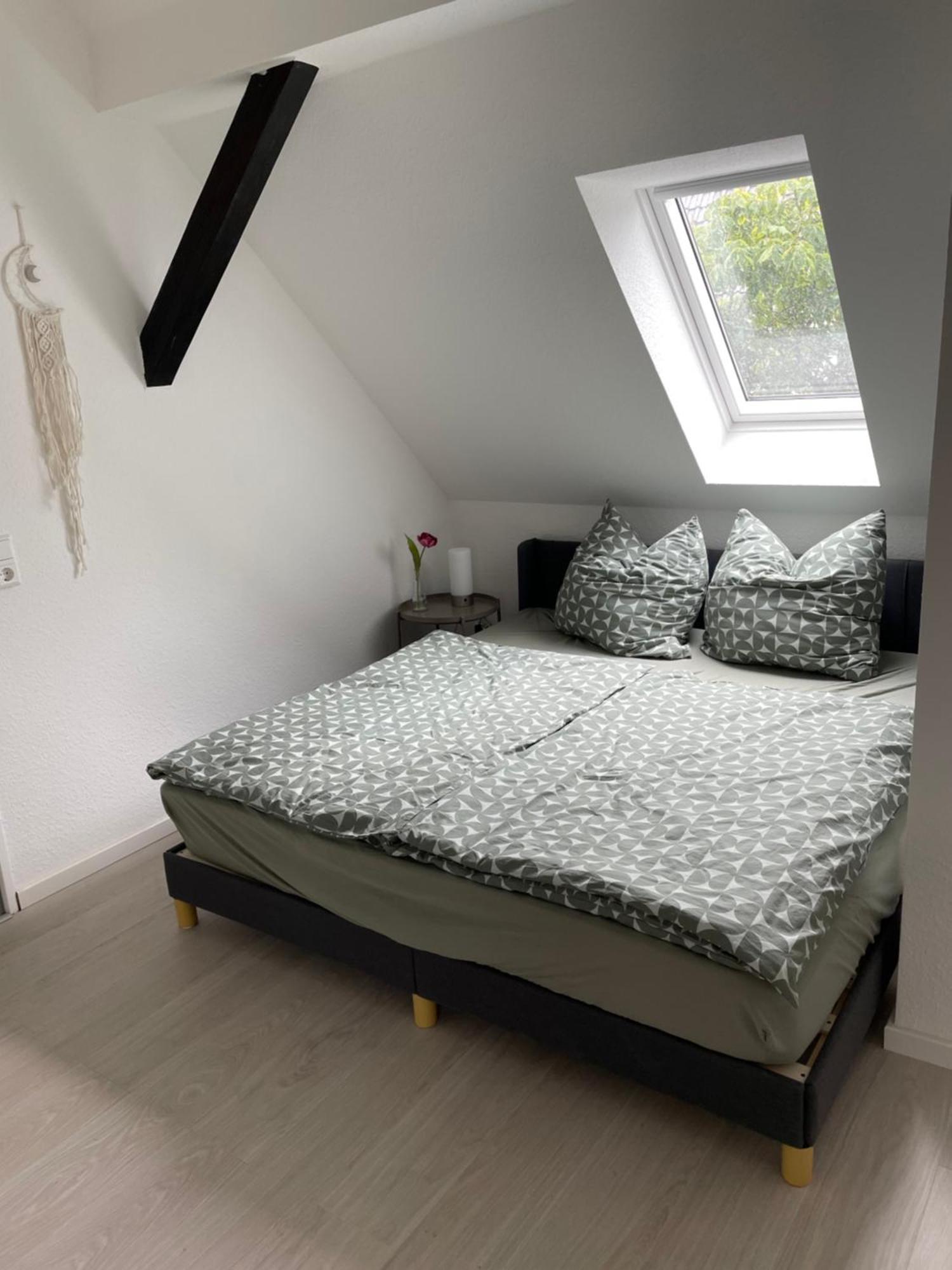 Moderne In Lutherstadt * Wittenberg